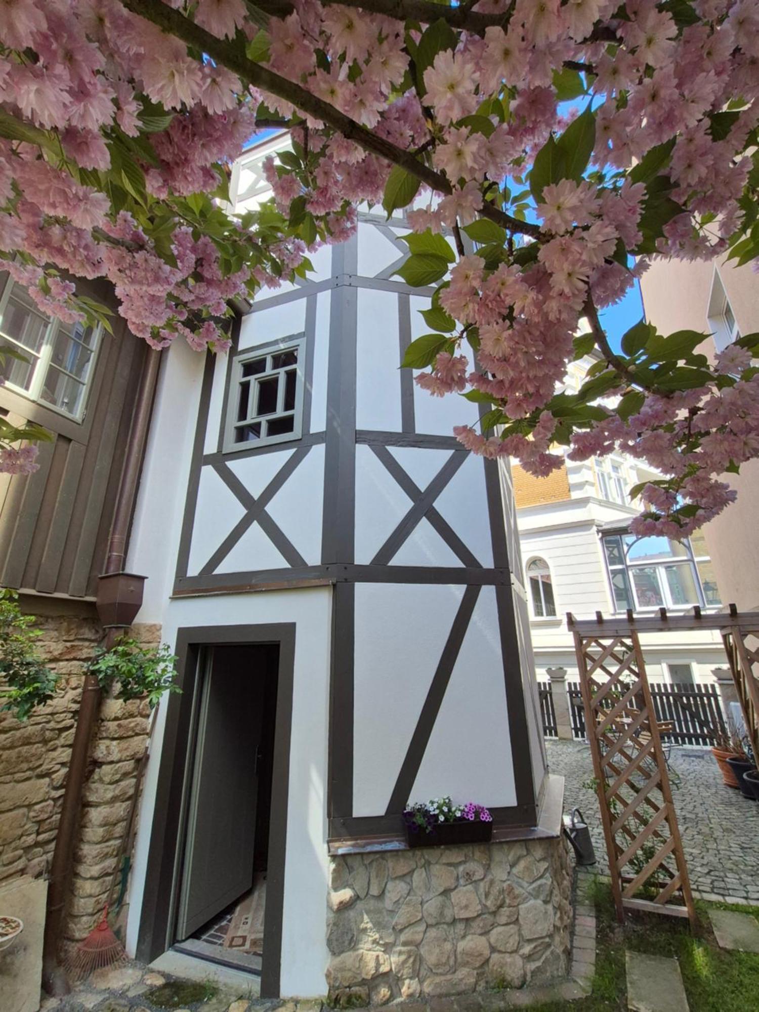 Aussergewoehnliches, Historisches, Spaetgotisches Wohnhaus Von 1519, Gries 5 Гера Экстерьер фото